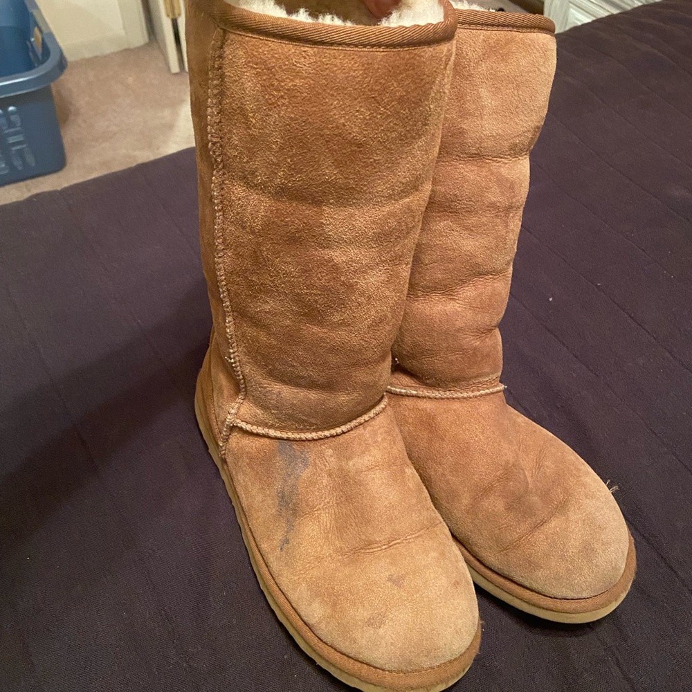 Classic Ugg Boot Tall